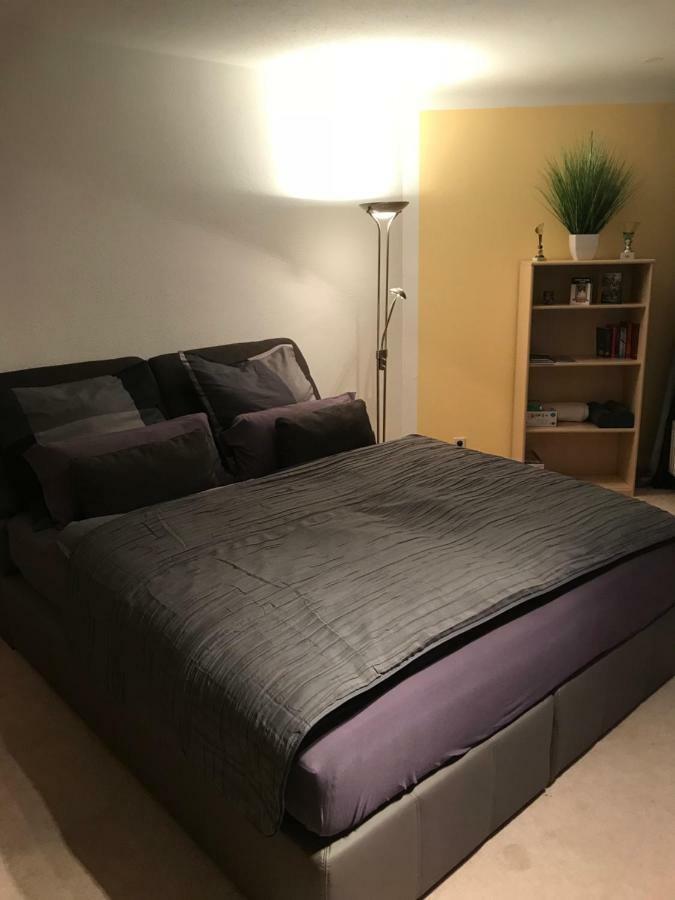Kleine Wohnung Im Gruenen Dresden Buitenkant foto