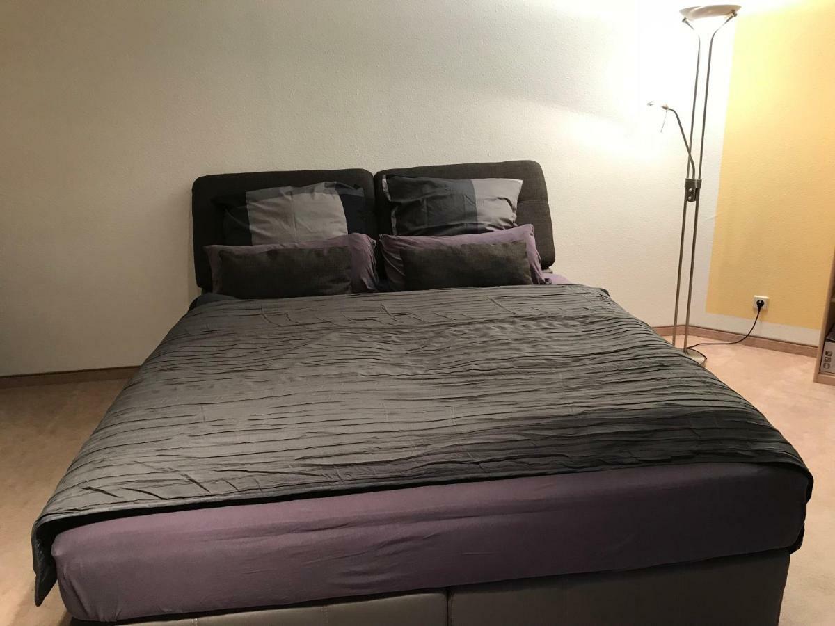 Kleine Wohnung Im Gruenen Dresden Buitenkant foto