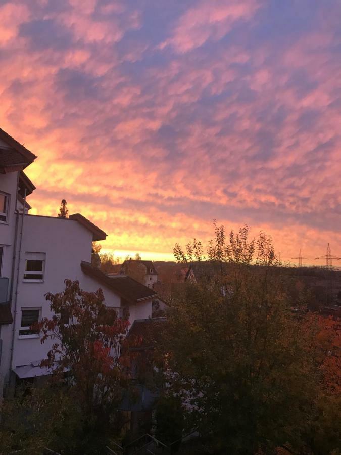 Kleine Wohnung Im Gruenen Dresden Buitenkant foto